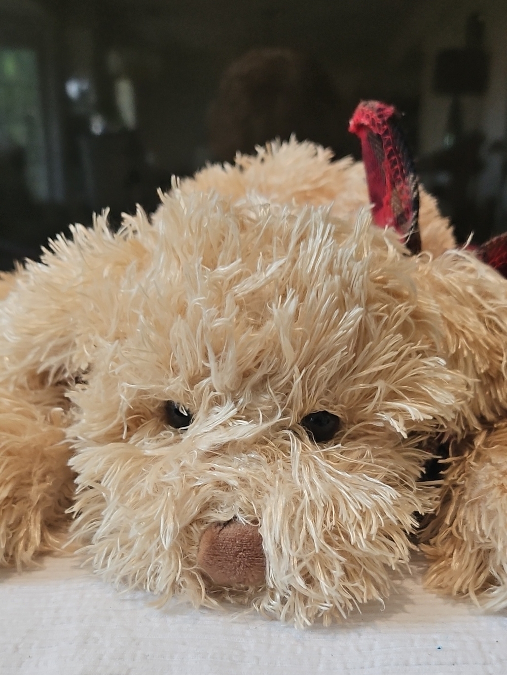 Gund - Isn't He Just the Cutes Thing Ever -Can We Call Him JAMES